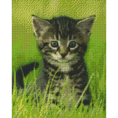 kitten in 't groen (809223) 9 basisplaten