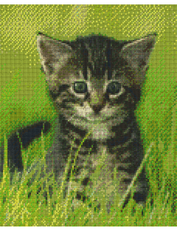 kitten in 't groen (809223) 9 basisplaten