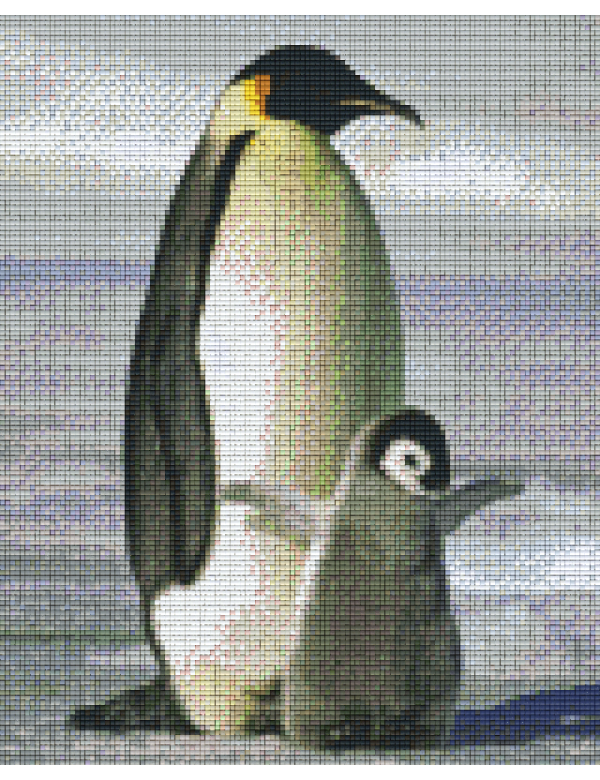 pinguin met kuiken (809434)