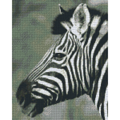 zebra zwart wit (809436) 9 basisplaten