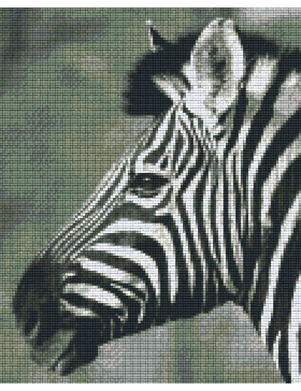 zebra zwart wit (809436) 9 basisplaten