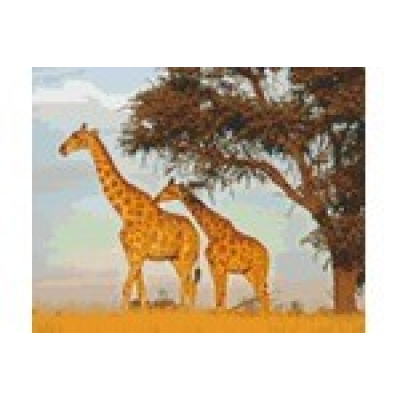 giraffen (809304) 9 basisplaten