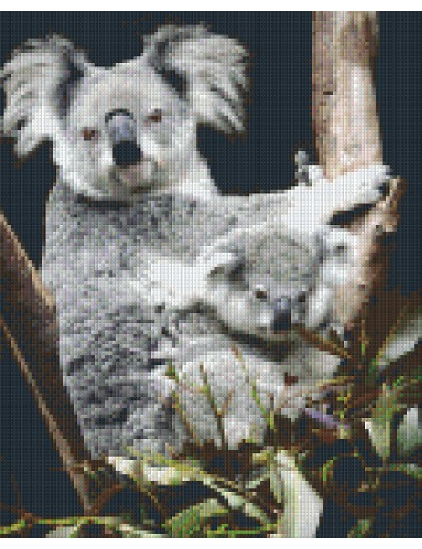 koala met jong (809183) 9 basisplaten