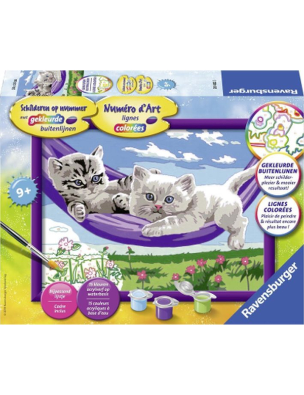 Kittens in hangmat Kittens in hangmat