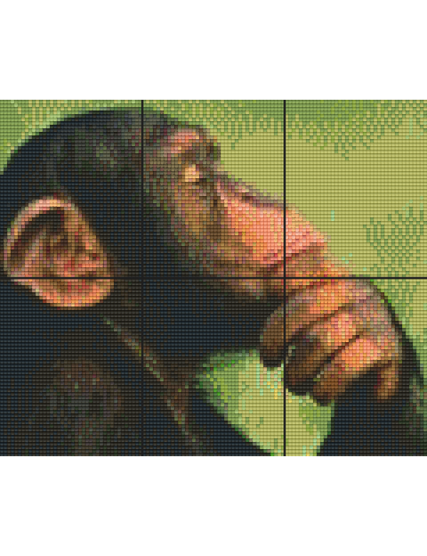 de denker, 6 basisplaten