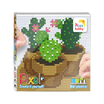 set 4 kleine basisplaten cacti