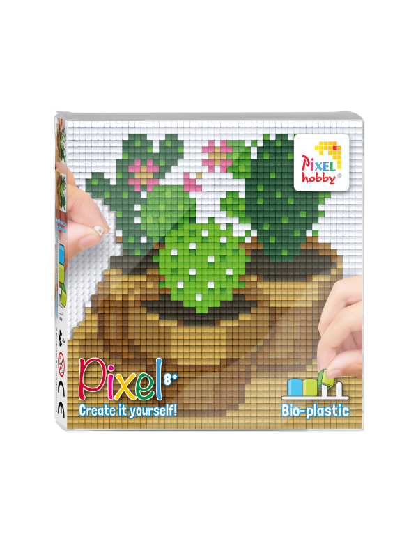 set 4 kleine basisplaten cacti set 4 kleine basisplaten cacti