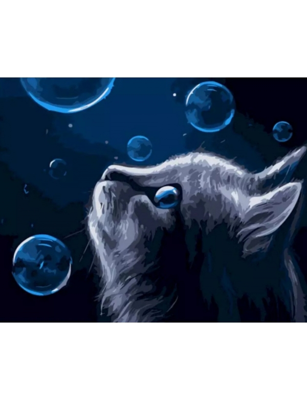 Painting by numbers: Kitten met zeepbellen Painting by numbers: Kitten met zeepbellen