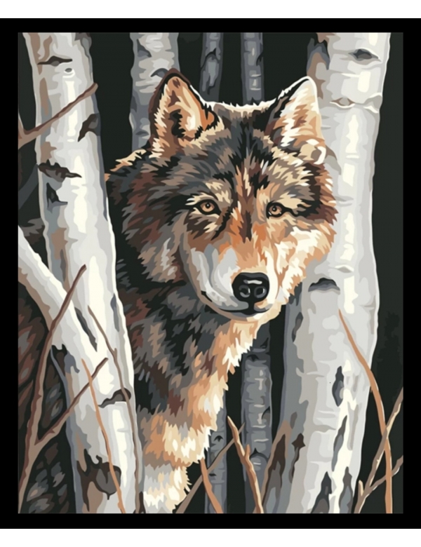 Painting by numbers: Wolf tussen berken Painting by numbers: Wolf tussen berken