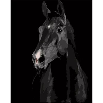 Painting by numbers: Zwart Paard
