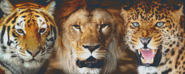 pixelhobby